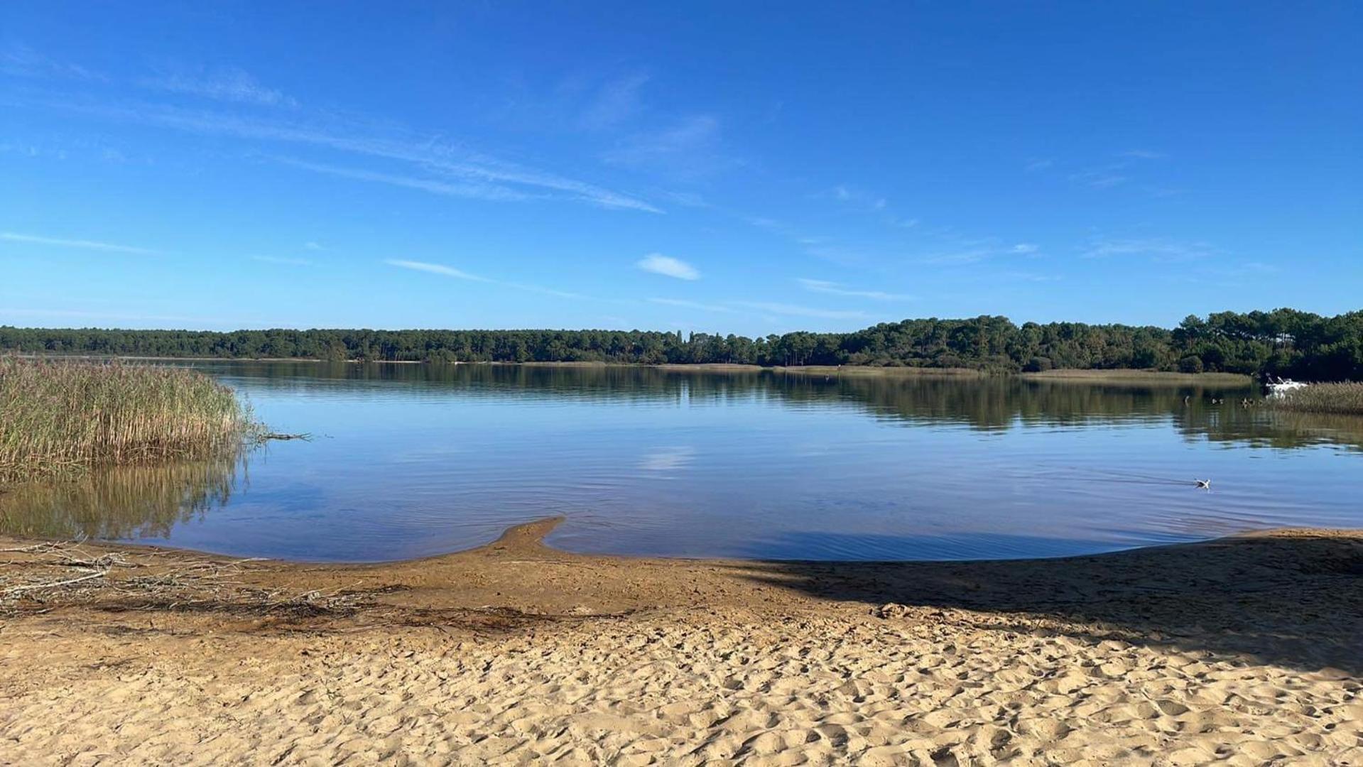 Appartement T2 Proche Lac Sanguinet Bagian luar foto