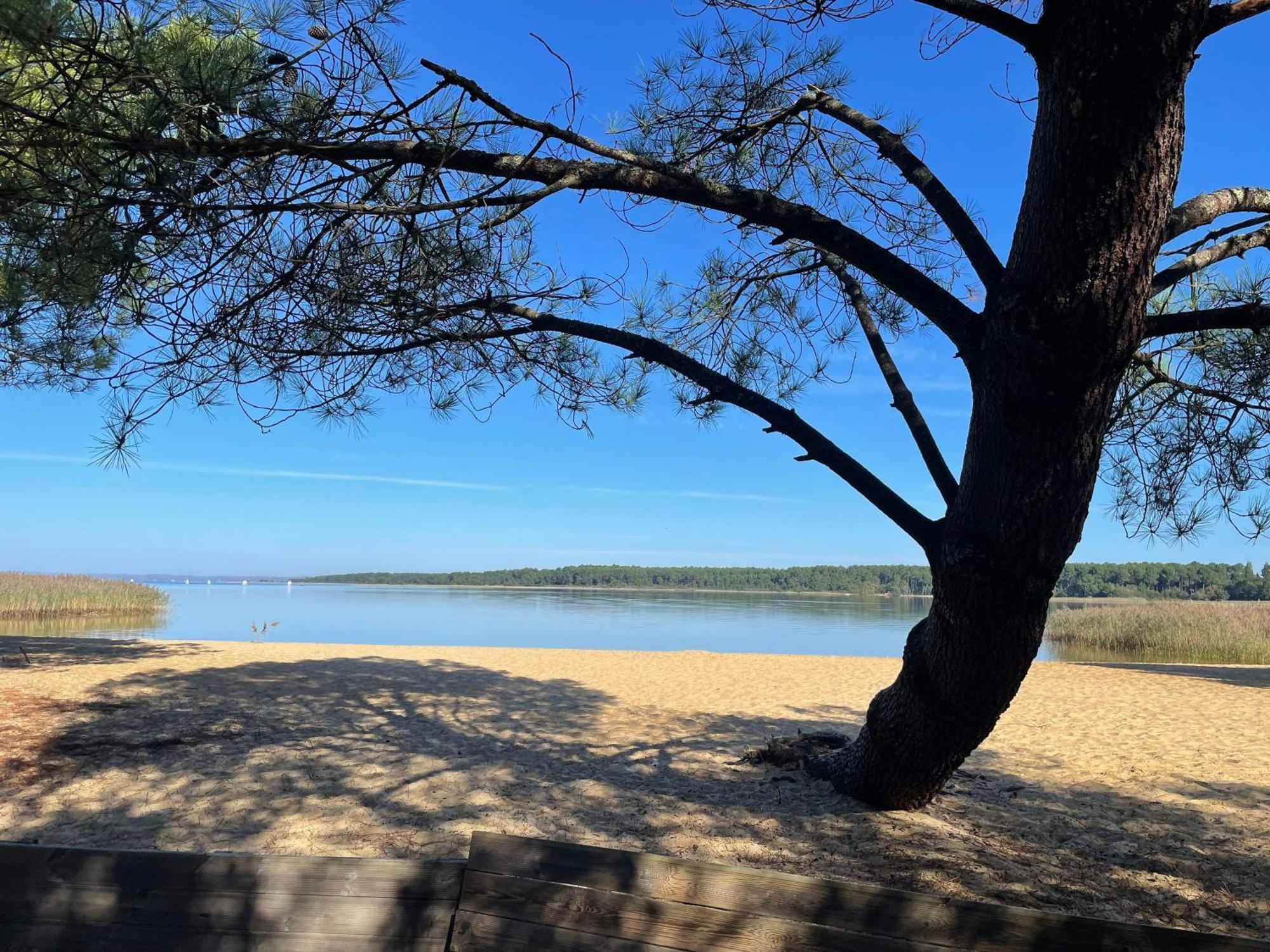 Appartement T2 Proche Lac Sanguinet Bagian luar foto