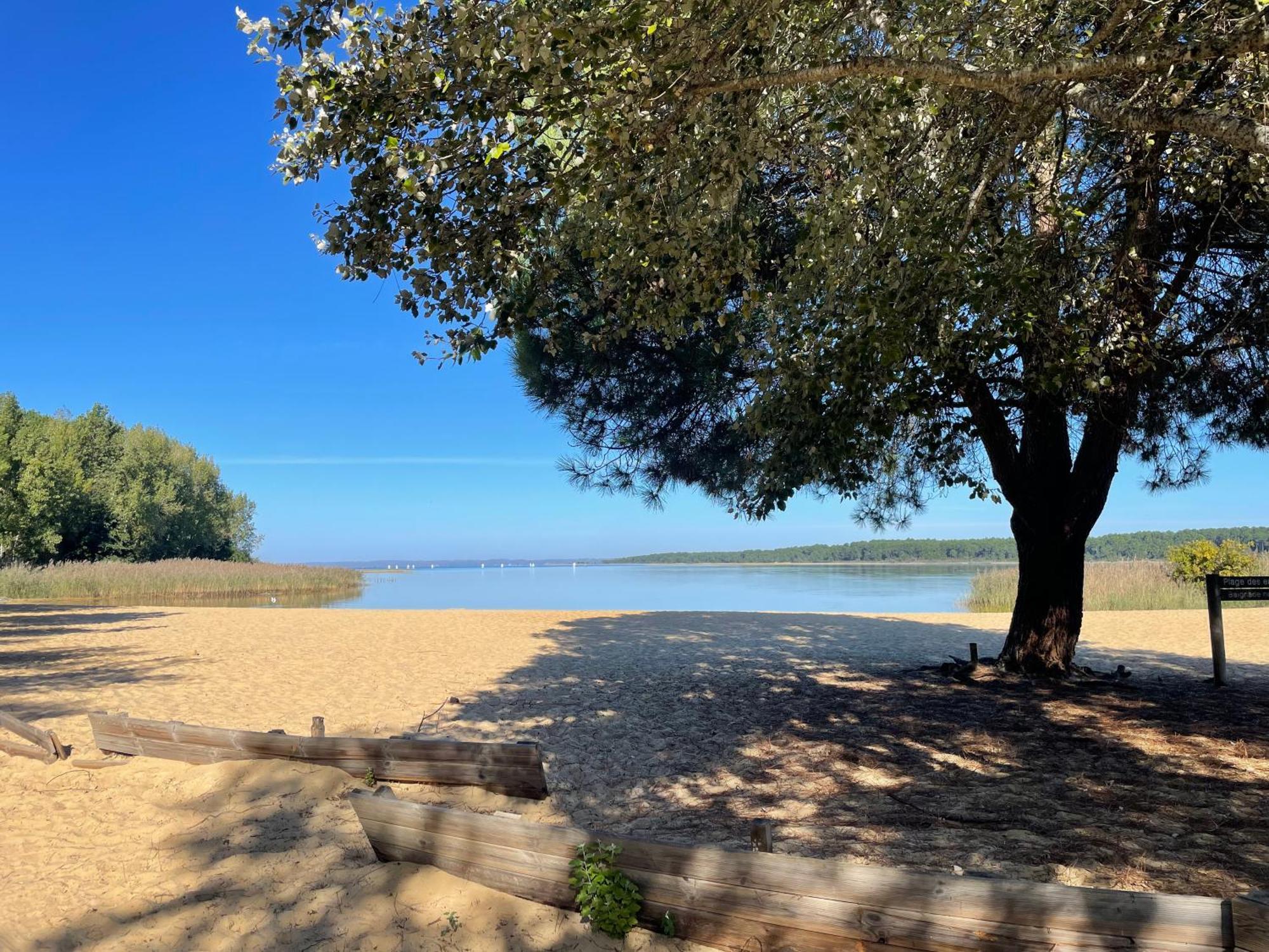 Appartement T2 Proche Lac Sanguinet Bagian luar foto